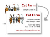 Business Cards with graphic / doublesided - Foto and Graphic upload
